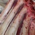 草原牛腿肉5斤包邮牛排带骨牛肉现宰切块牧场产地直发