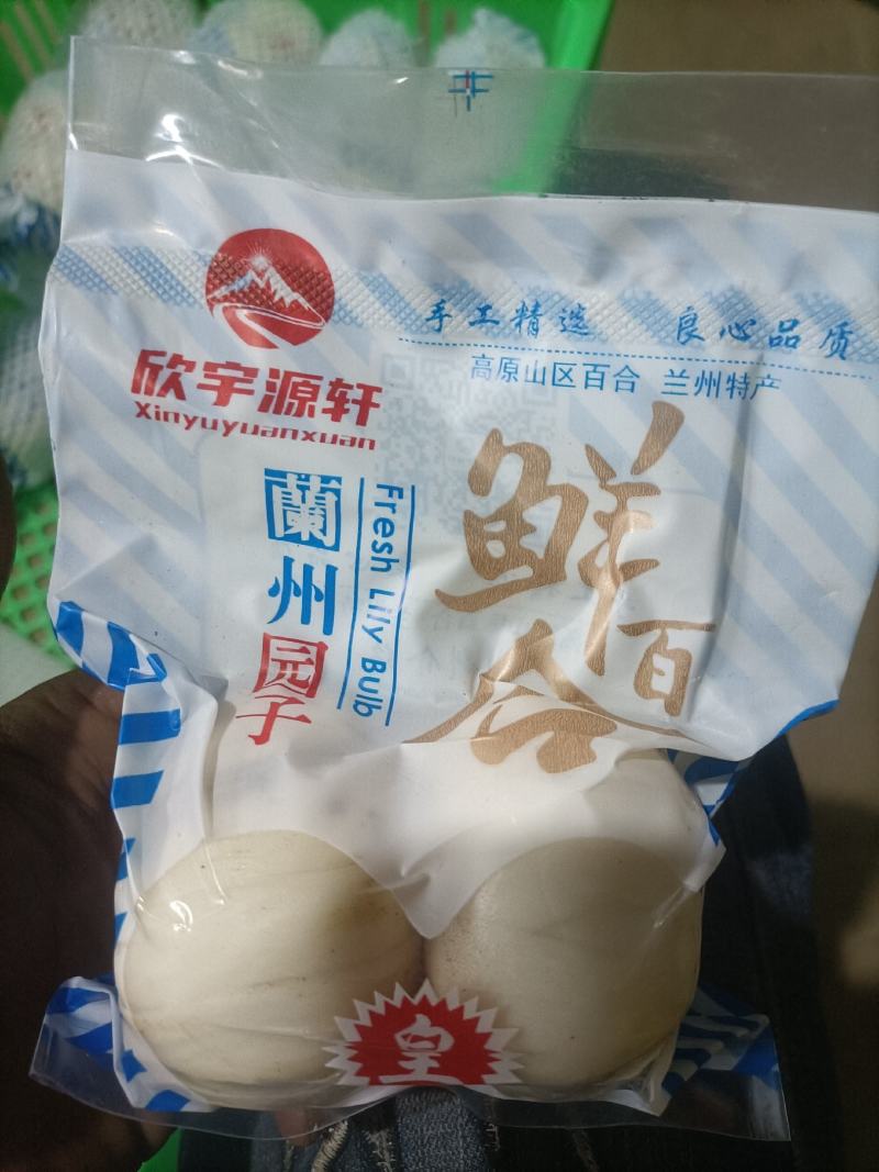 甘肃兰州特有农产品鲜百合，绿色食品无硫无农药一件代发