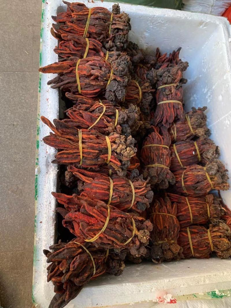 回春草【包邮】三斤起发货可批量可零售量大从优