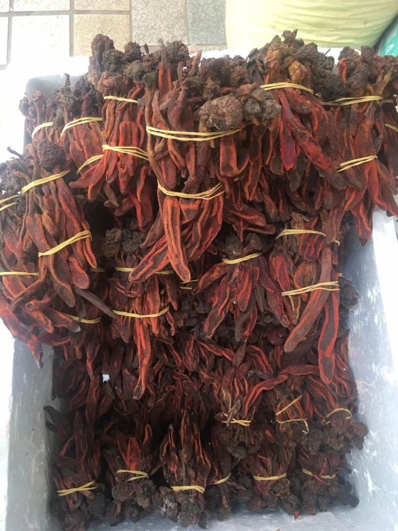 回春草【包邮】三斤起发货可批量可零售量大从优