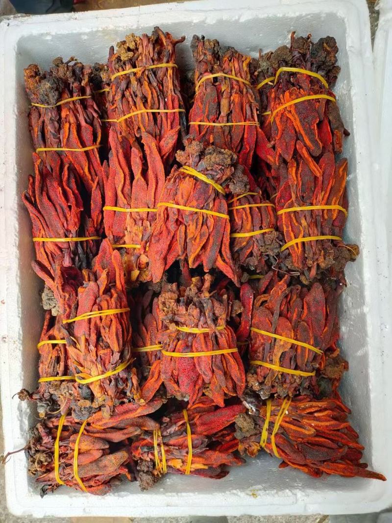 回春草【包邮】三斤起发货可批量可零售量大从优