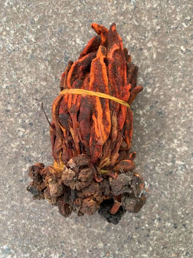 草苁蓉【包邮】三斤起发货可批量可零售量大从优