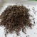 茉莉花茶