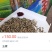 茉莉花茶