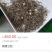 茉莉花茶