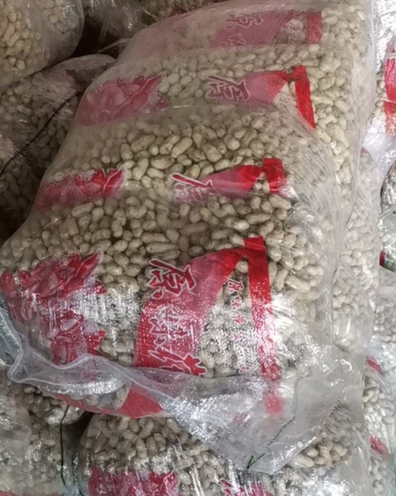2025年新花生批发原味炒花生品种海华大花生