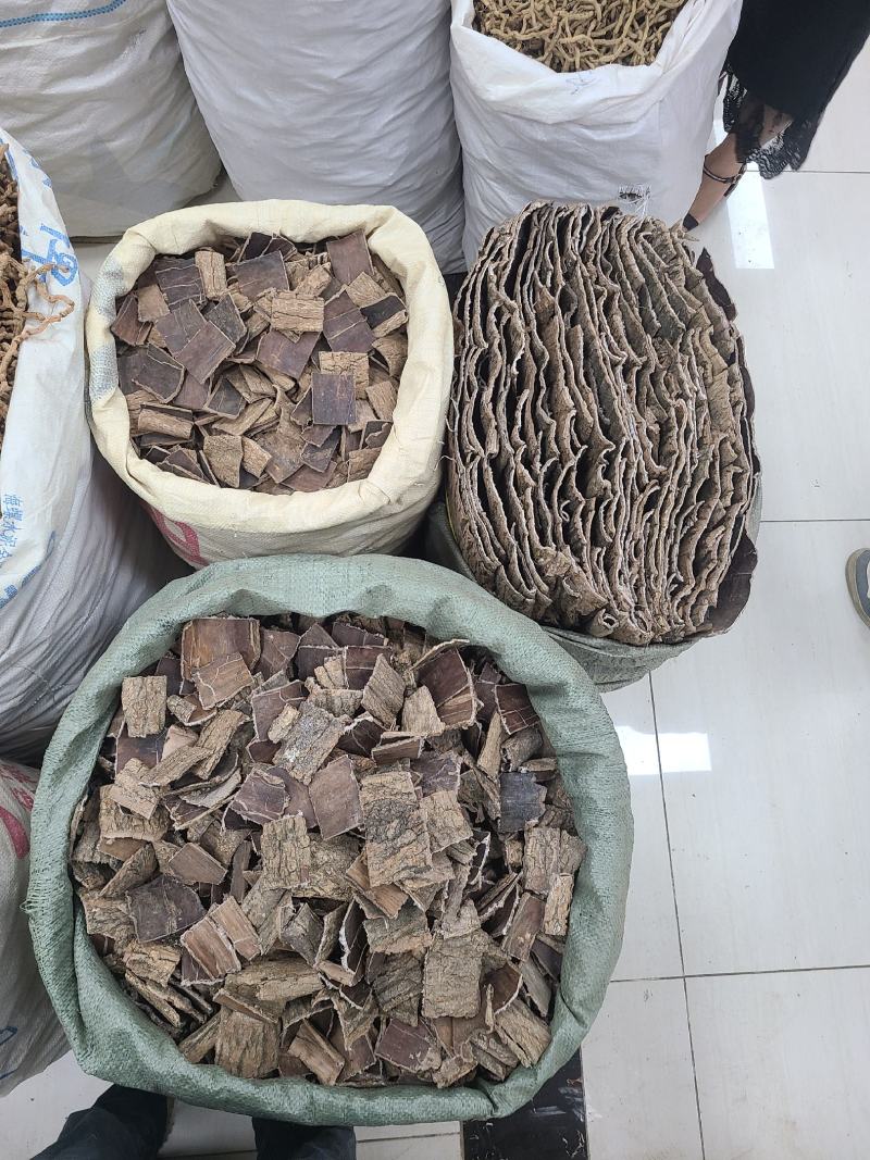 杜仲皮杜仲方块杜仲整块皮质量保证