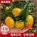 蜜橘（国庆蜜橘)特早蜜橘承接市场商超各大平台