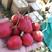 平邑县大五楞山楂，棉球，甜红子金星，品种齐全，手工选果。