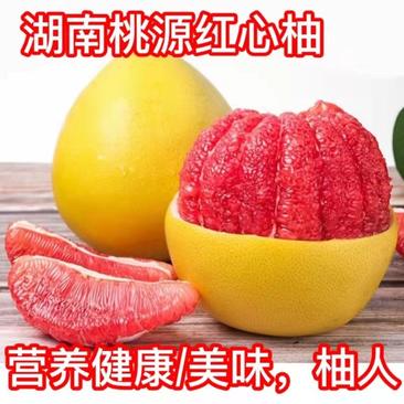 桃源县优质红心柚，现大量上市价格实惠，欢迎来电采购