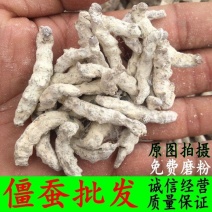 白僵蚕中药材白僵虫天虫白僵蚕粉炒僵蚕僵蚕僵虫可