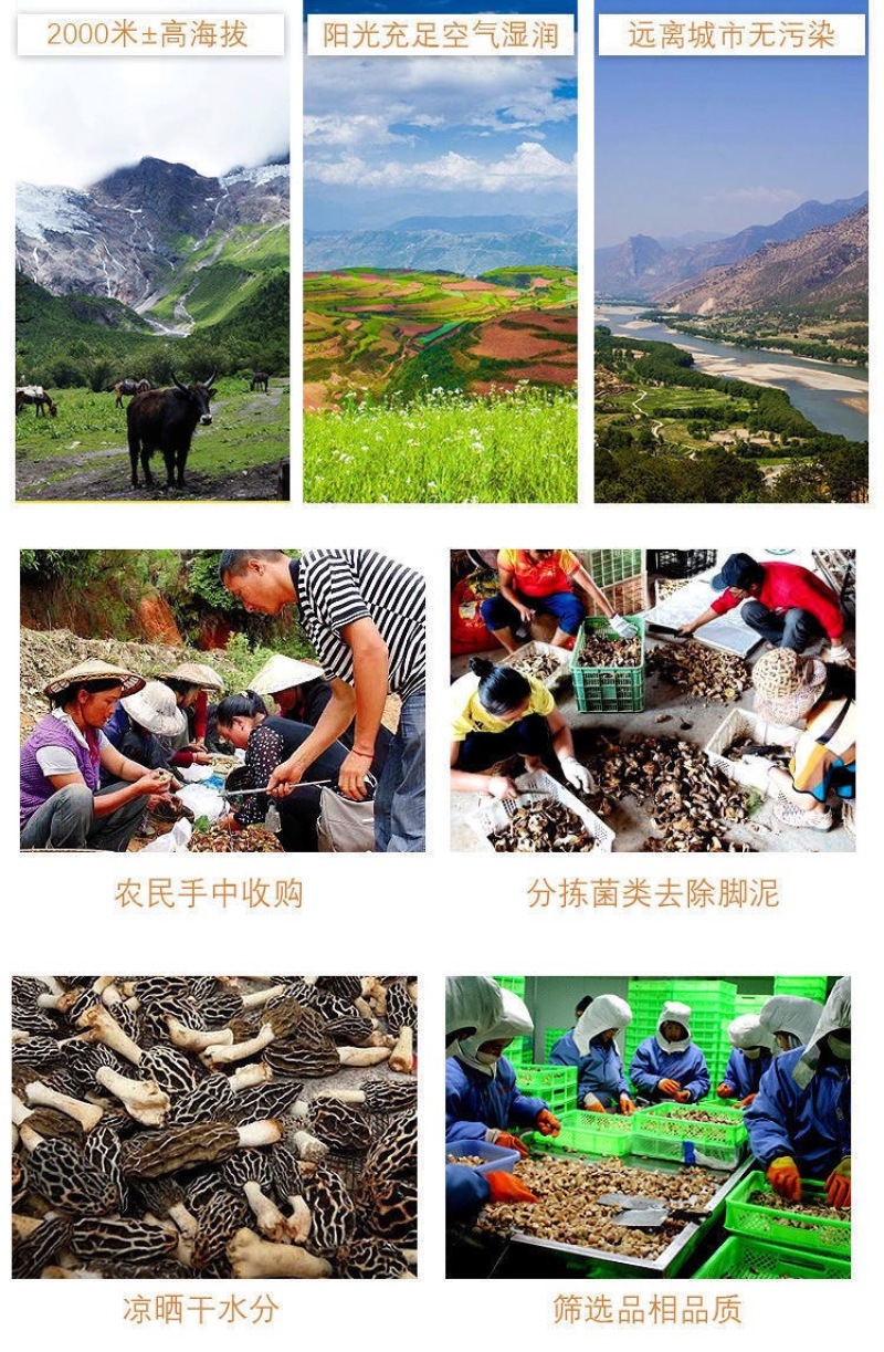 菌汤包，煲汤，焖肉都可以，一件80包，一包100克