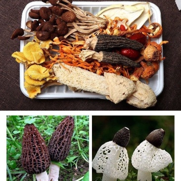 菌汤包，煲汤，焖肉都可以，一件80包，一包100克