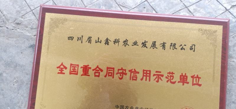 爱媛48号枝条，红公主枝条，包纯度。包邮。产地直发