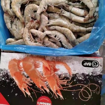 虾