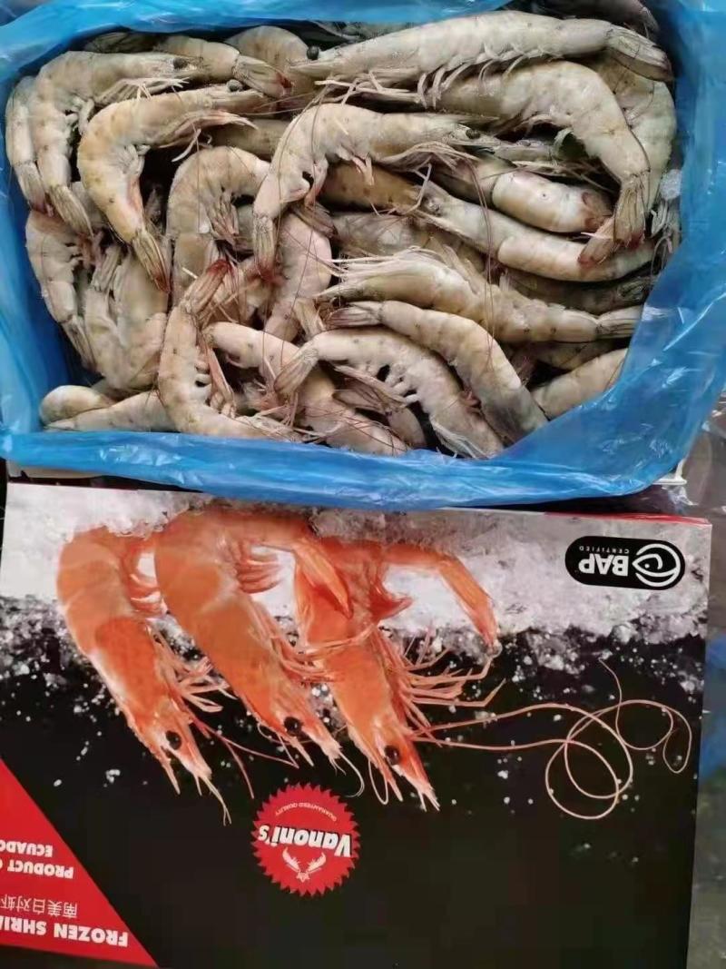 虾