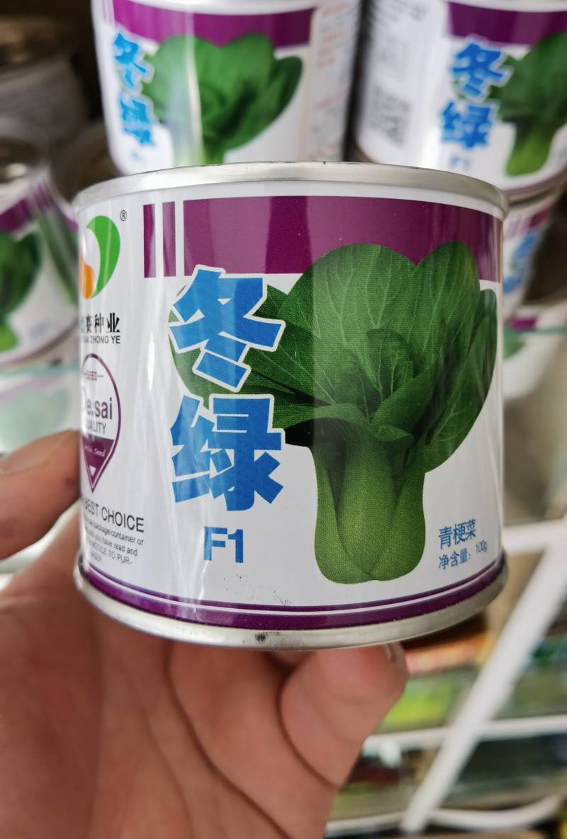 【高品质】耐寒束腰青梗菜种子冬绿耐低温耐抽苔商品性佳
