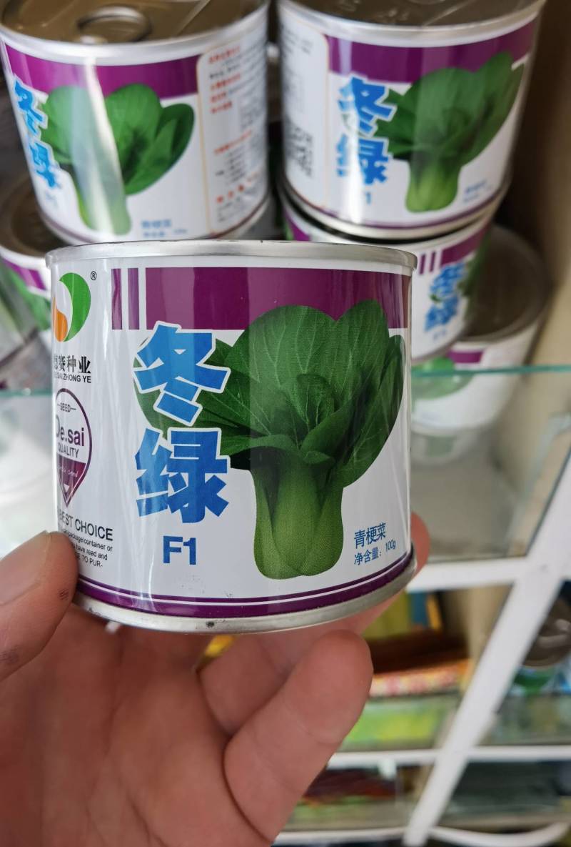 【高品质】耐寒束腰青梗菜种子冬绿耐低温耐抽苔商品性佳