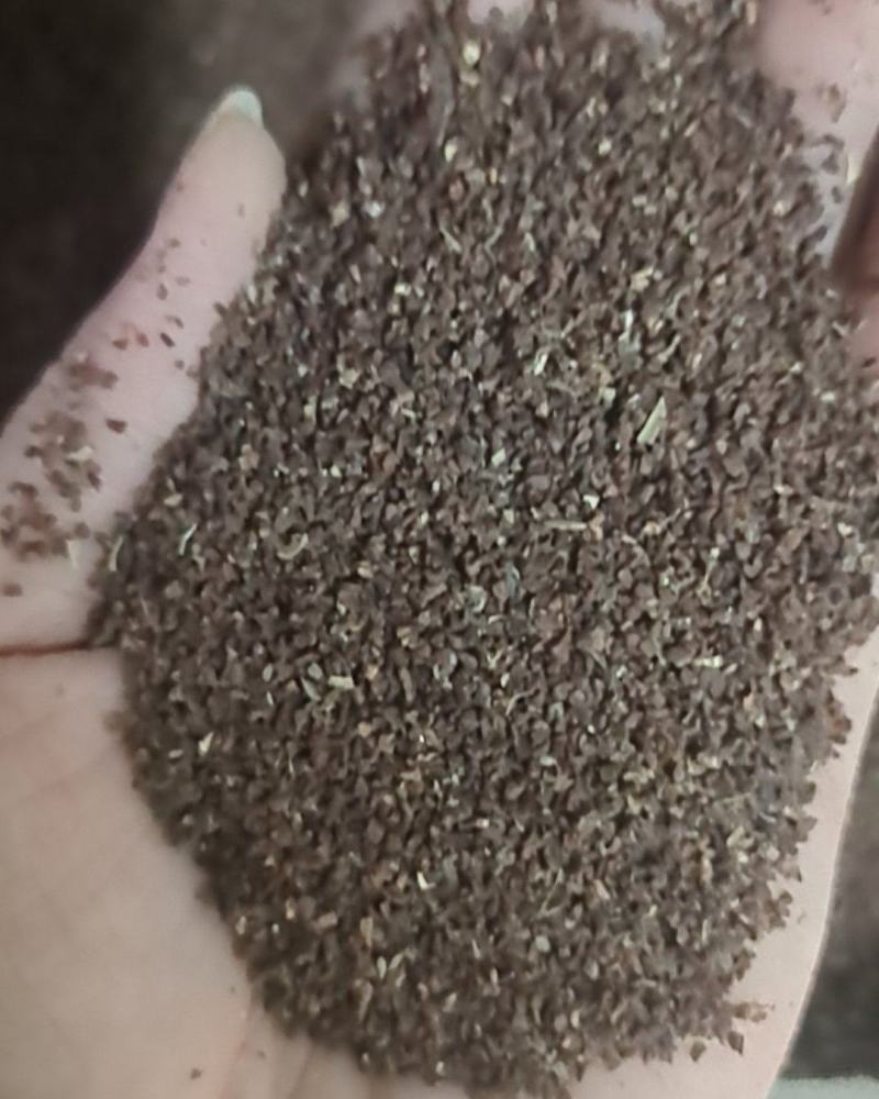 美丽月苋草种子月见草花种子四季种庭院阳台易种植物盆栽花卉