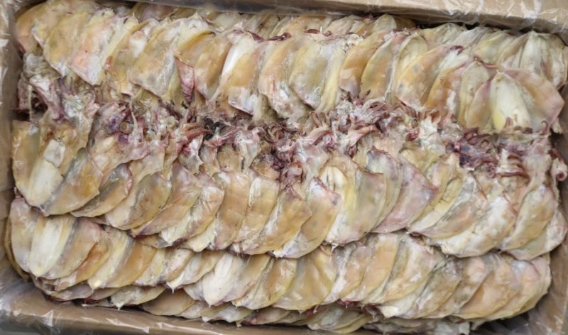 18头北海中号墨鱼淡干一点点脱盐足干有墨鱼香味