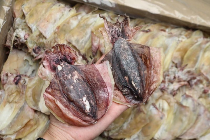 18头北海中号墨鱼淡干一点点脱盐足干有墨鱼香味