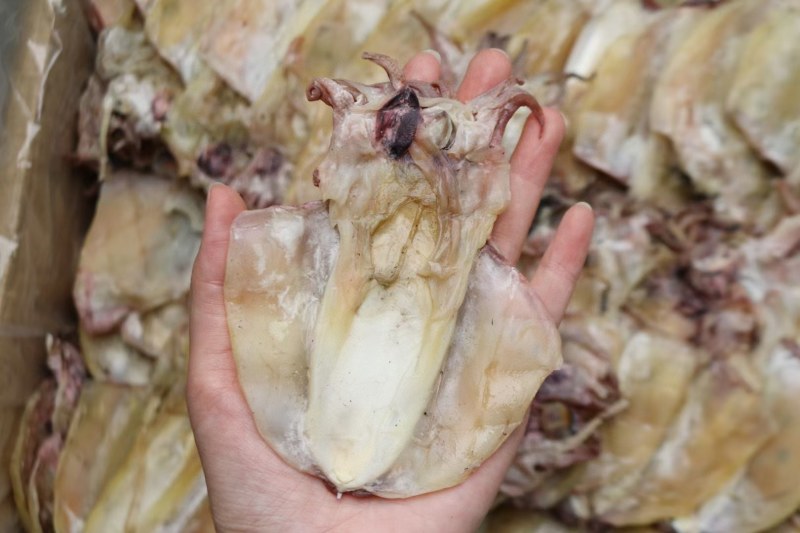 18头北海中号墨鱼淡干一点点脱盐足干有墨鱼香味