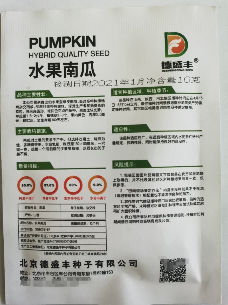 水果南瓜种子小南瓜甜面香口感好基地大面积种植