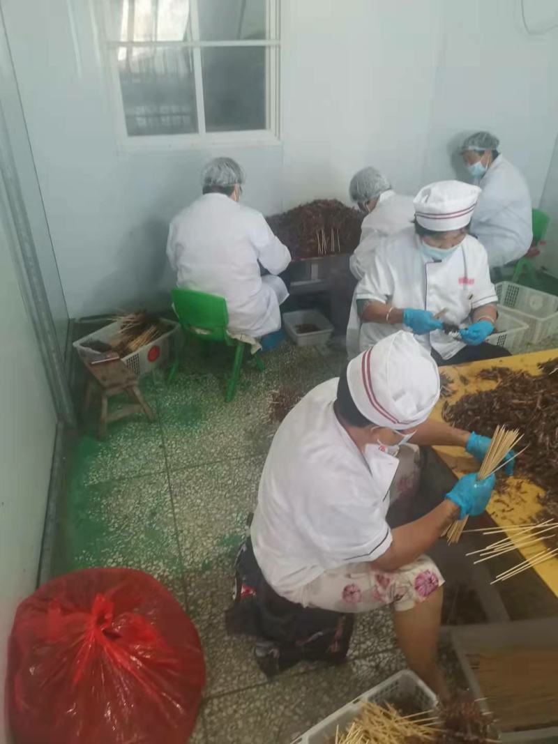 阜阳豆虫批发新鲜烧烤食材油炸食材，高蛋白豆丹