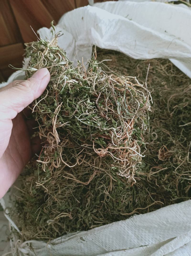 半边莲，正品野生水洗半边莲质量保证，欢迎咨询选购！