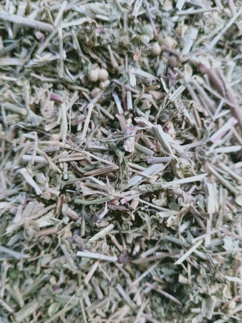 透骨草，正品珍珠透骨草新货过筛质量保证，欢迎咨询购买！