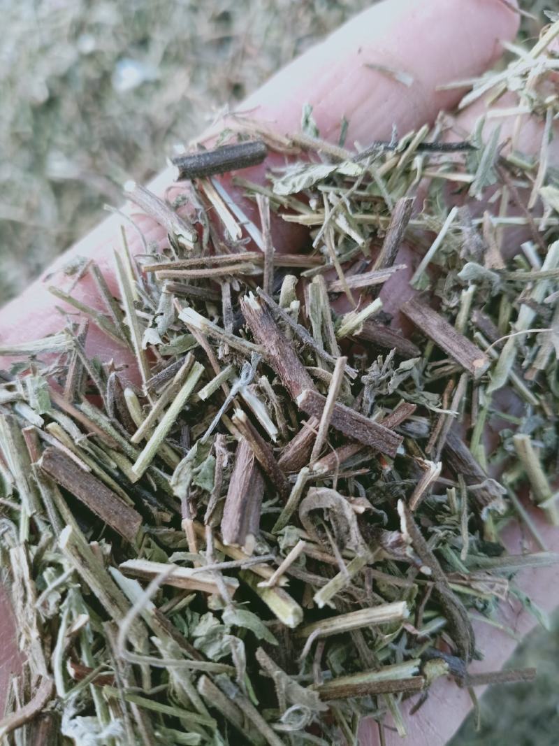 香薷，正品无硫香薷草片质量保证，经营各种中药材