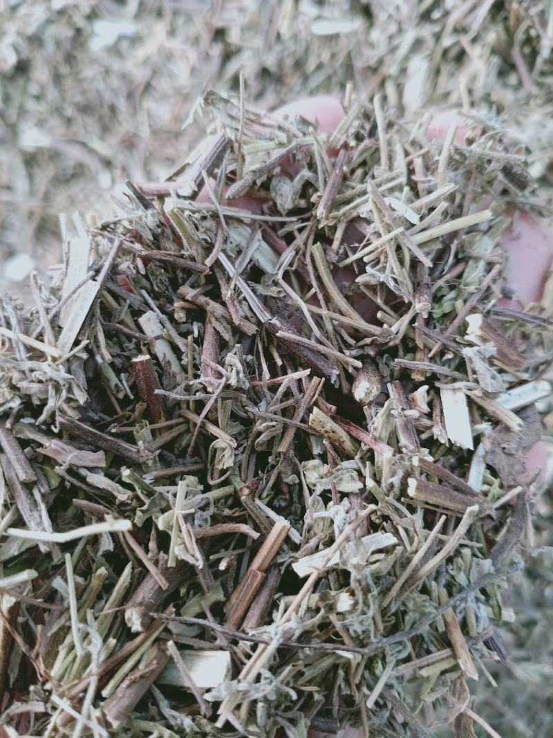 香薷，正品无硫香薷草片质量保证，经营各种中药材