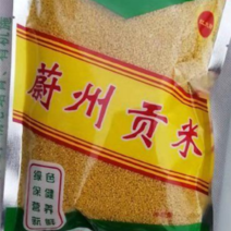 黄小米（蔚州贡米）2023新小米熬粥，【一斤装】批发价