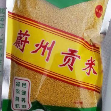 黄小米（蔚州贡米）2024新小米熬粥，【一斤装】批发价