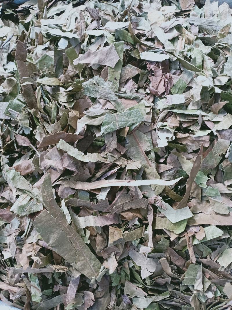 枇杷叶，新货枇杷叶切片质量保证，经营各种中药材！