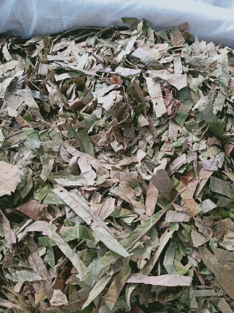 枇杷叶，新货枇杷叶切片质量保证，经营各种中药材！