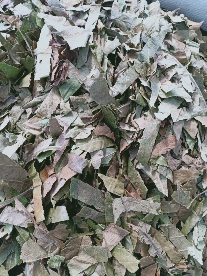 枇杷叶，新货枇杷叶切片质量保证，经营各种中药材！