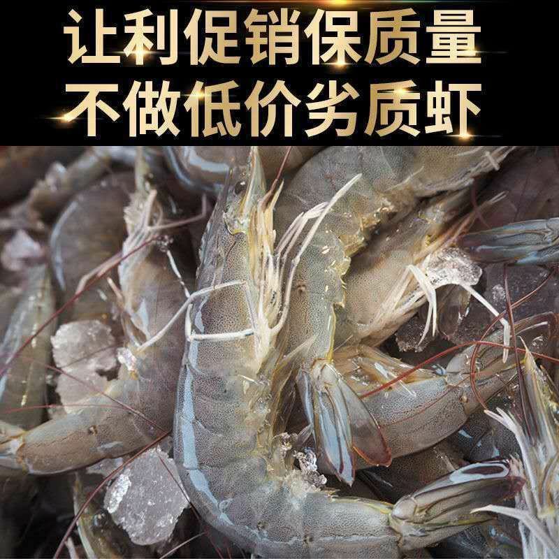 青岛海捕大虾国产大虾鲜活新鲜特大盐冻海水大虾批发一