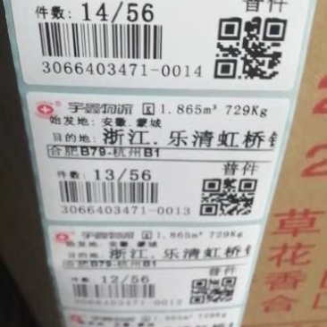 洗衣液