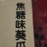 五香瓜子大众口味新炒瓜子，颗颗口感舒香可口