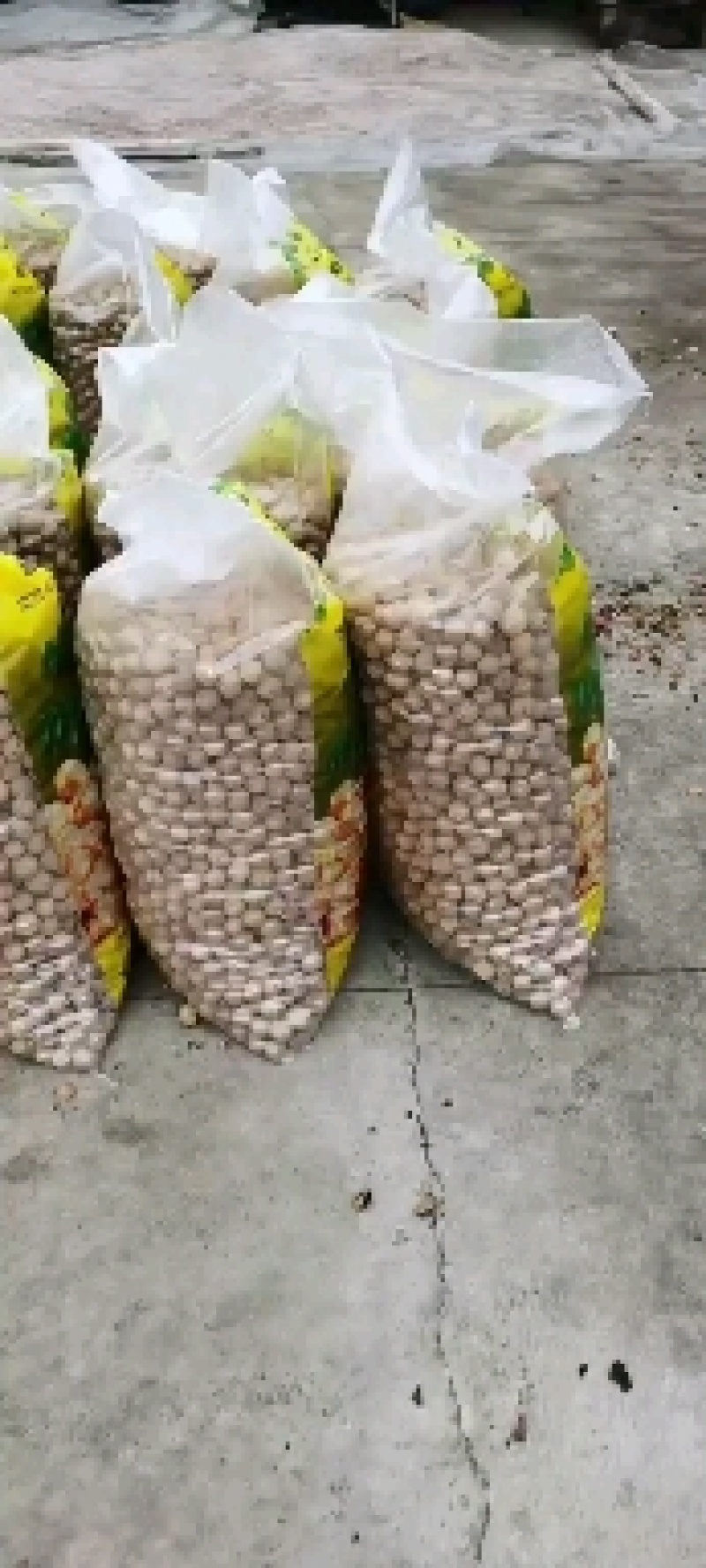 唐山老品种核桃内质好价格便宜产地一手货源小果两块多