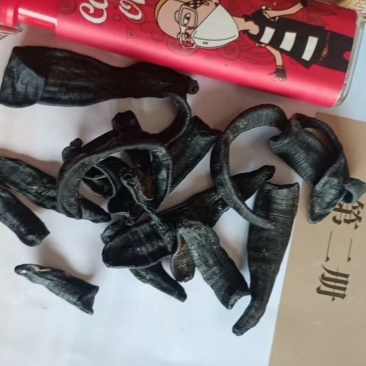 水蛭干货黑条水蛭常年经营各种中药材