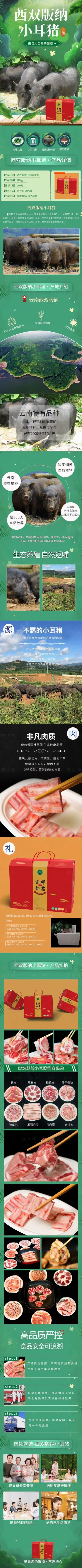 版纳小耳朵猪