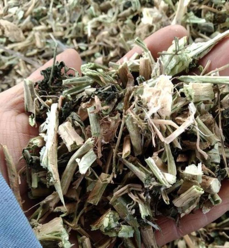 龙葵，龙葵草野生新货片质量保证，经营各种中药材！