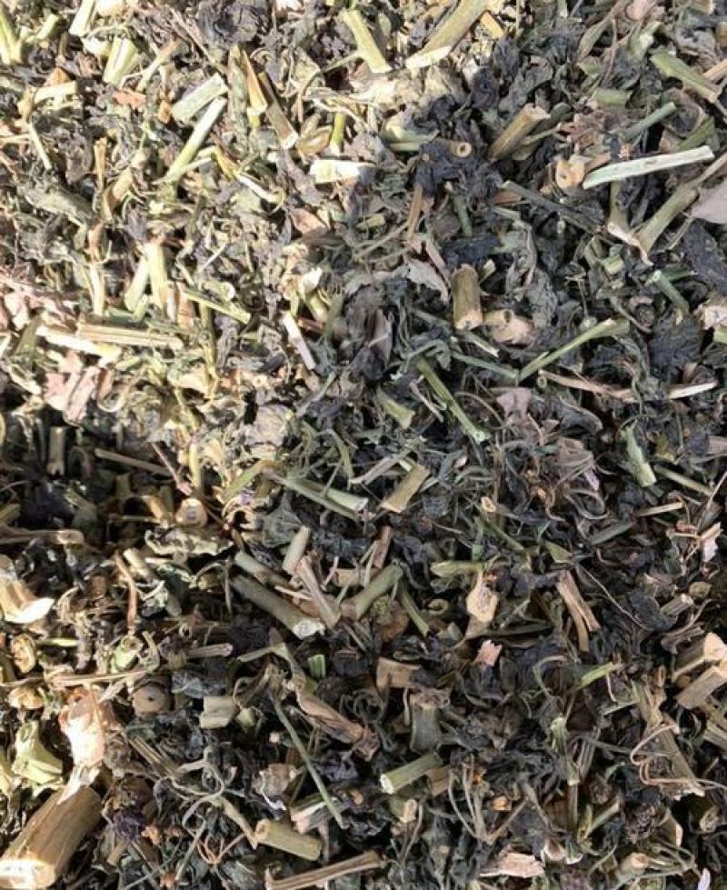 龙葵，龙葵草野生新货片质量保证，经营各种中药材！