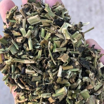 龙葵，龙葵草野生新货片质量保证，经营各种中药材！