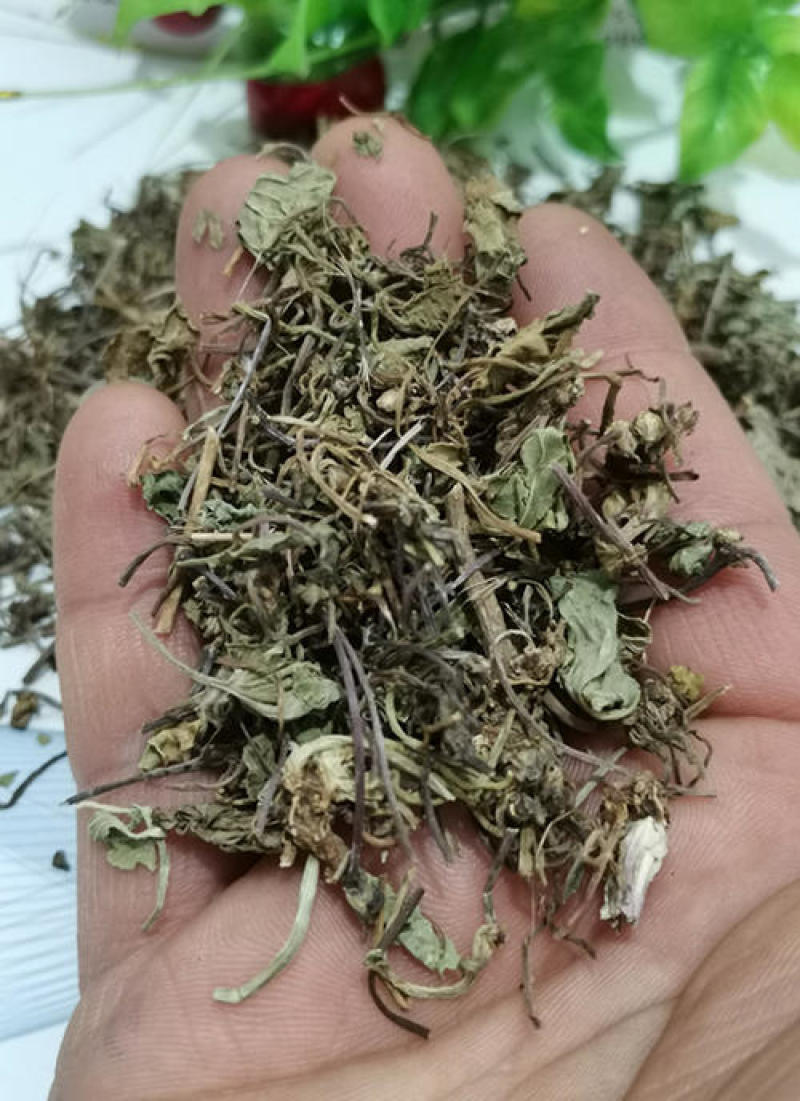 积雪草，雷公根，马蹄草片个野生新货质量保证，欢迎咨询选购