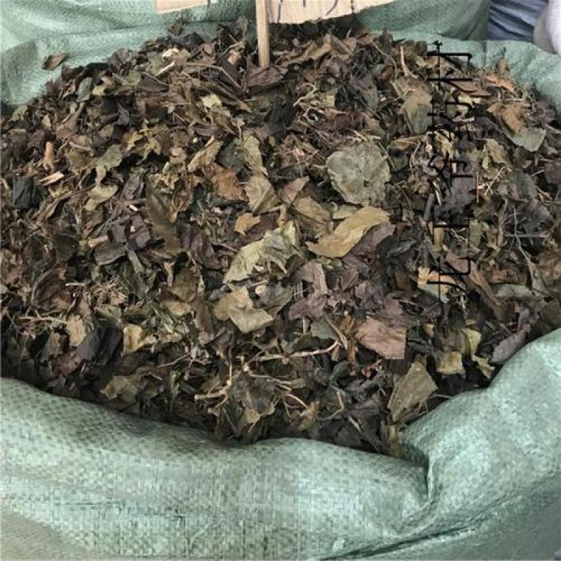 肿节风，草珊瑚，九节茶正品新货质量保证，欢迎咨询选购！