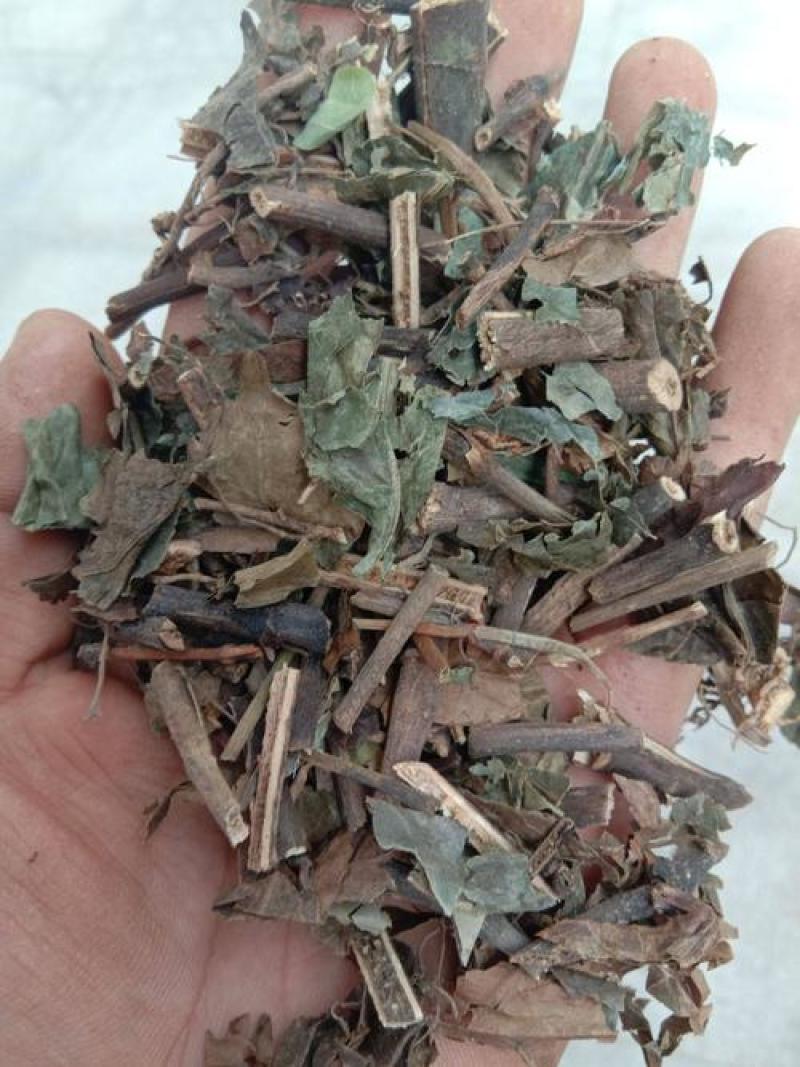 肿节风，草珊瑚，九节茶正品新货质量保证，欢迎咨询选购！