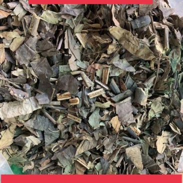 肿节风，草珊瑚，九节茶正品新货质量保证，欢迎咨询选购！